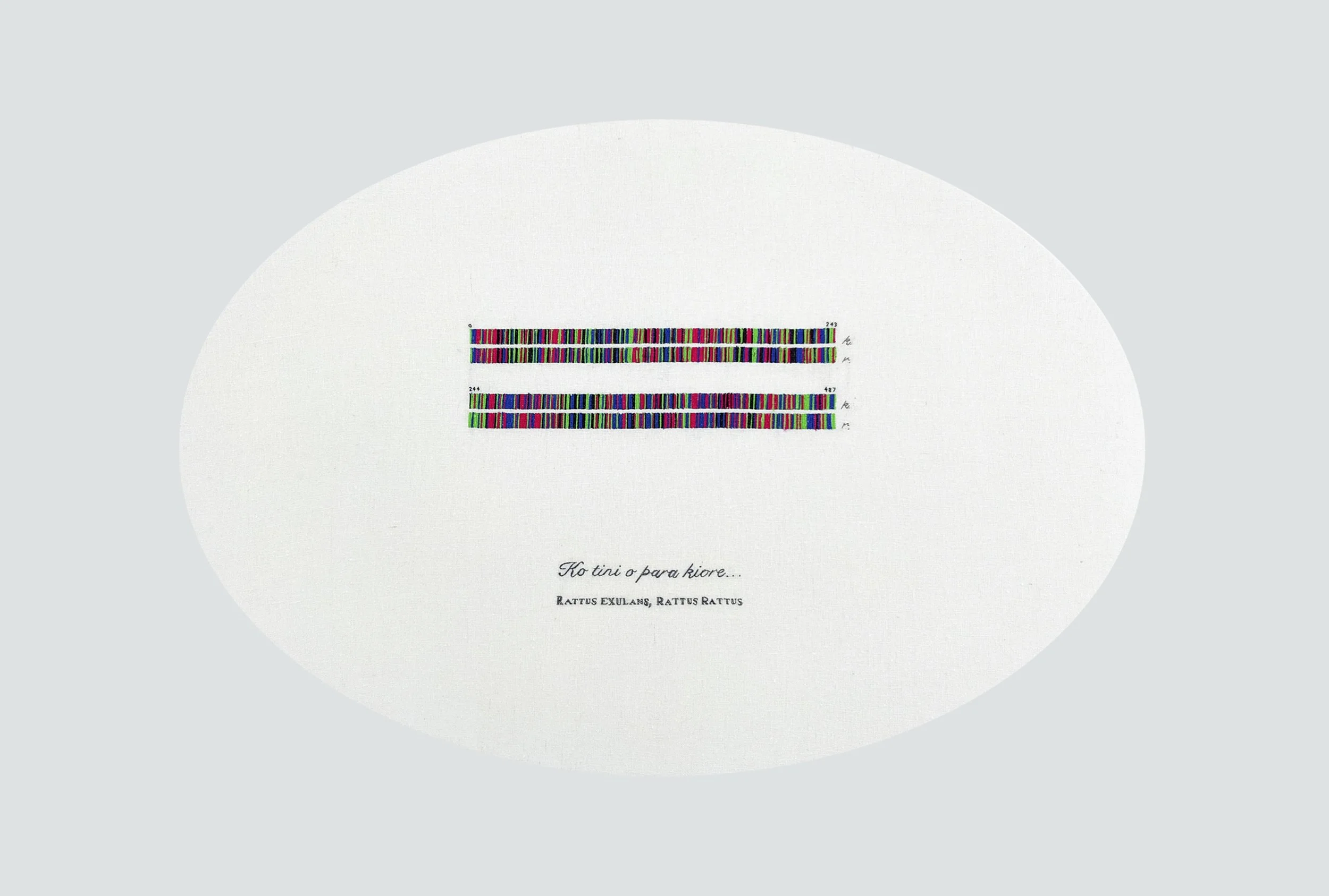 Ko tini o para kiore; DNA sequence data.jpg