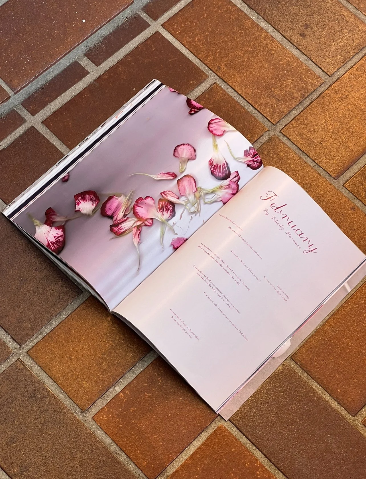 February, PETAL Vol. 1