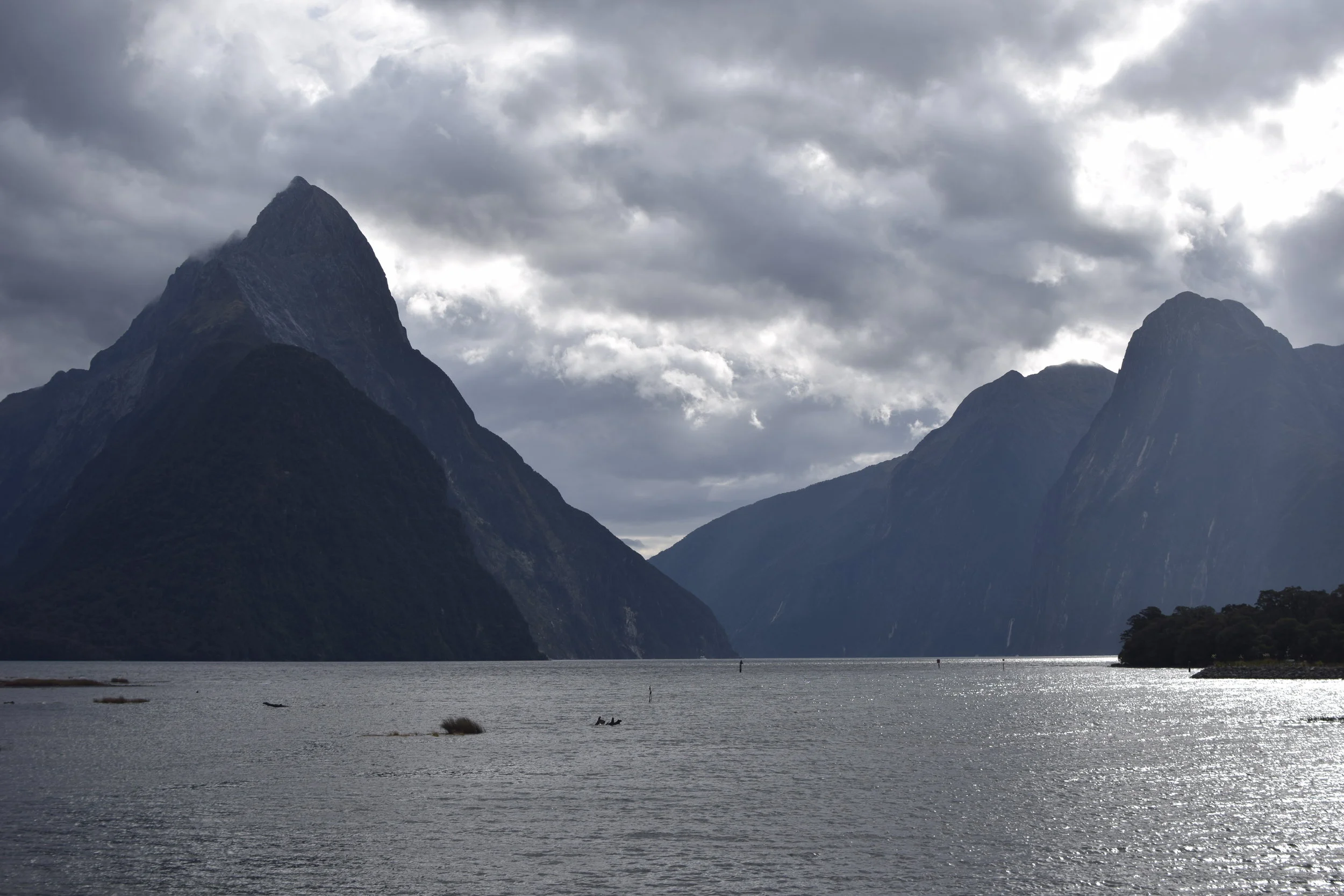 KANO Travel & Trip to Milford Sound | New Zealand
