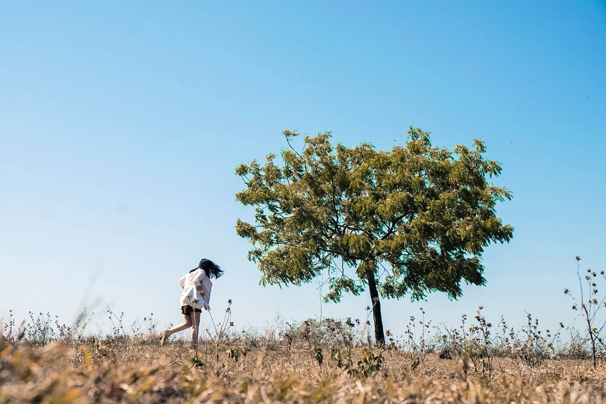 KANO Travel & Trip to Banyuwangi Indonesia | Baluran
