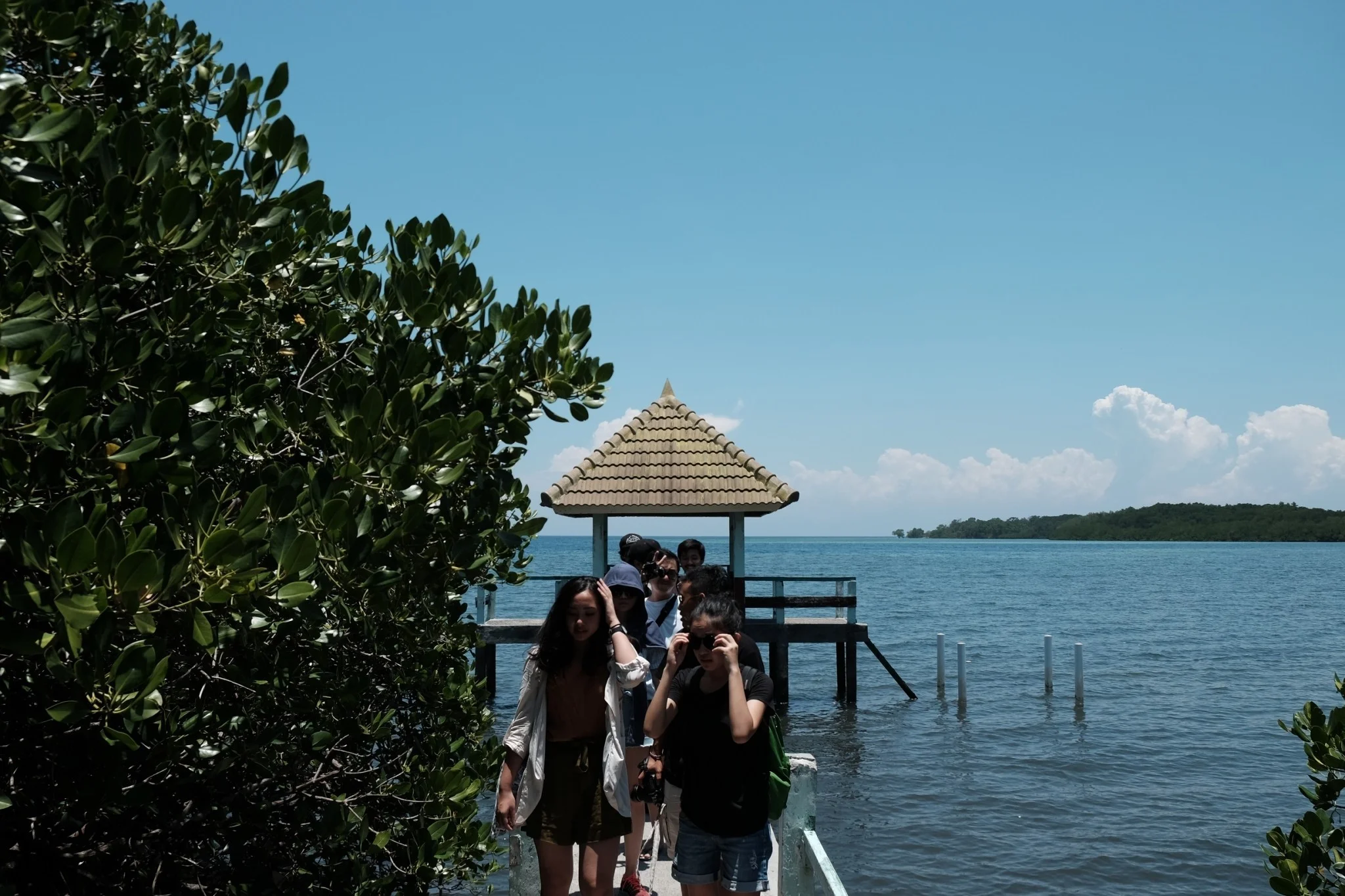 KANO Travel & Trip to Banyuwangi Indonesia | Baluran