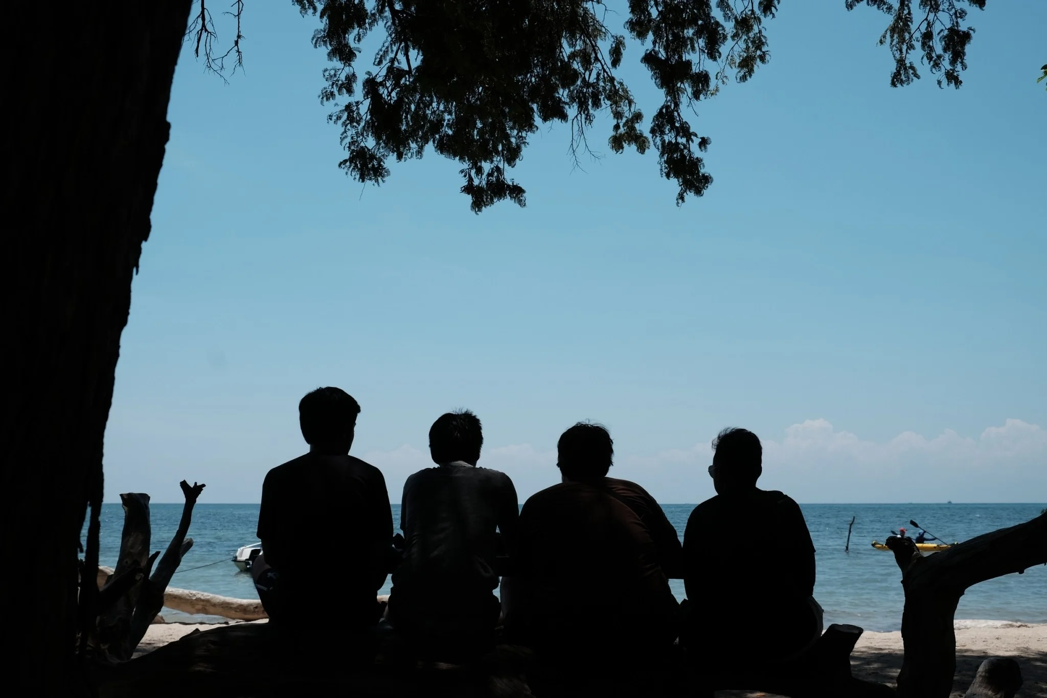 KANO Travel & Trip to Banyuwangi Indonesia | Baluran