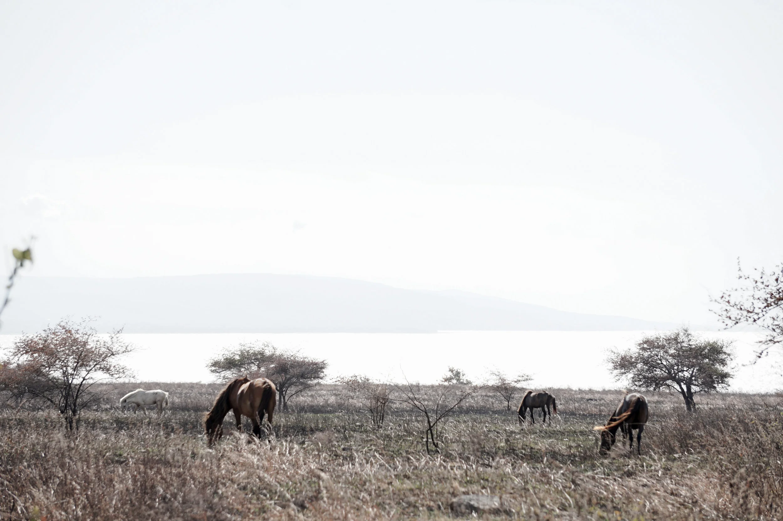 KANO Travel & Trip to Sumba