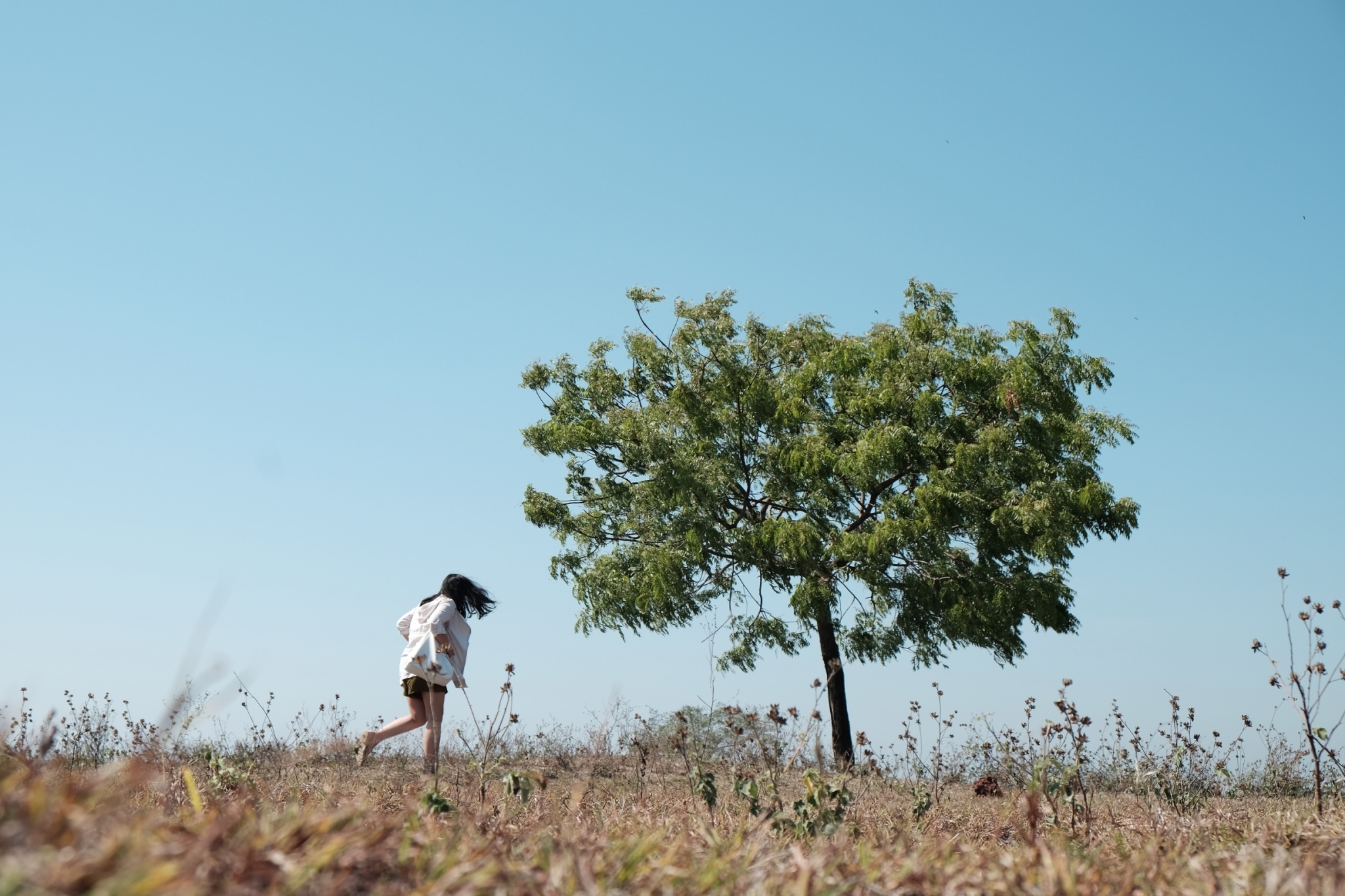 Baluran_180329_0003.jpg