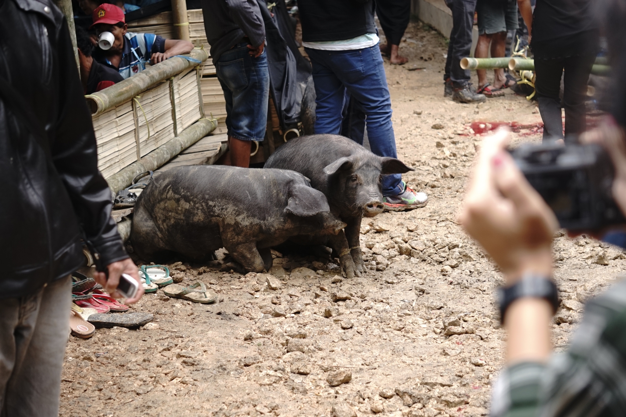 Toraja_180329_0012_0.jpg