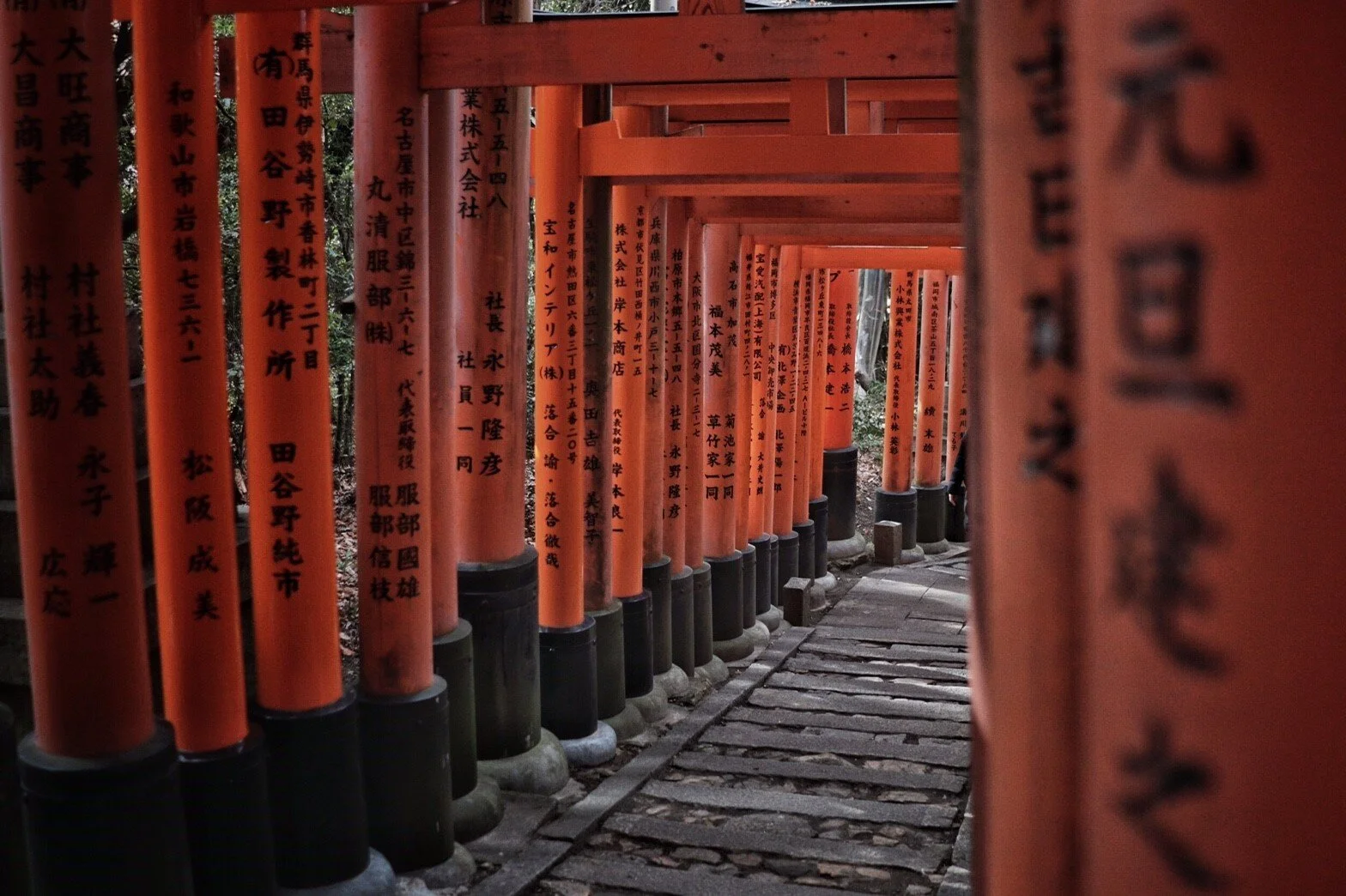 Japan Kano Tour And Travel Provider Around With Unique Experience