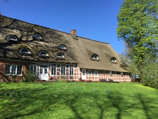 IMG_1240.jpeg