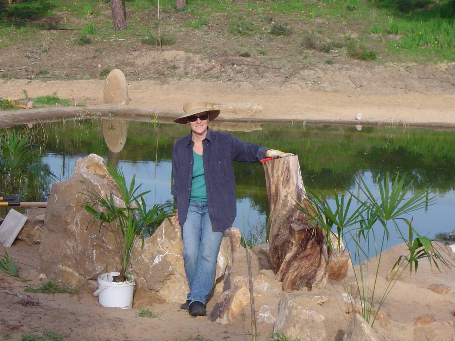 Natural Swimming Pool Finished