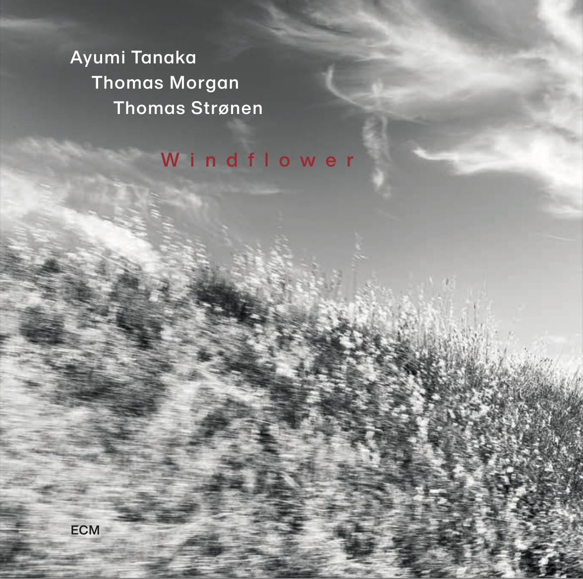    Windflower       ECM Records      Ayumi Tanaka, Thomas Morgan, Thomas Strønen     Ayumi Tanaka - Piano Thomas Morgan - Double Bass Thomas Strønen - Drums    Sparse, subtle and determined as much by silence as by sound, hers is a music created usin