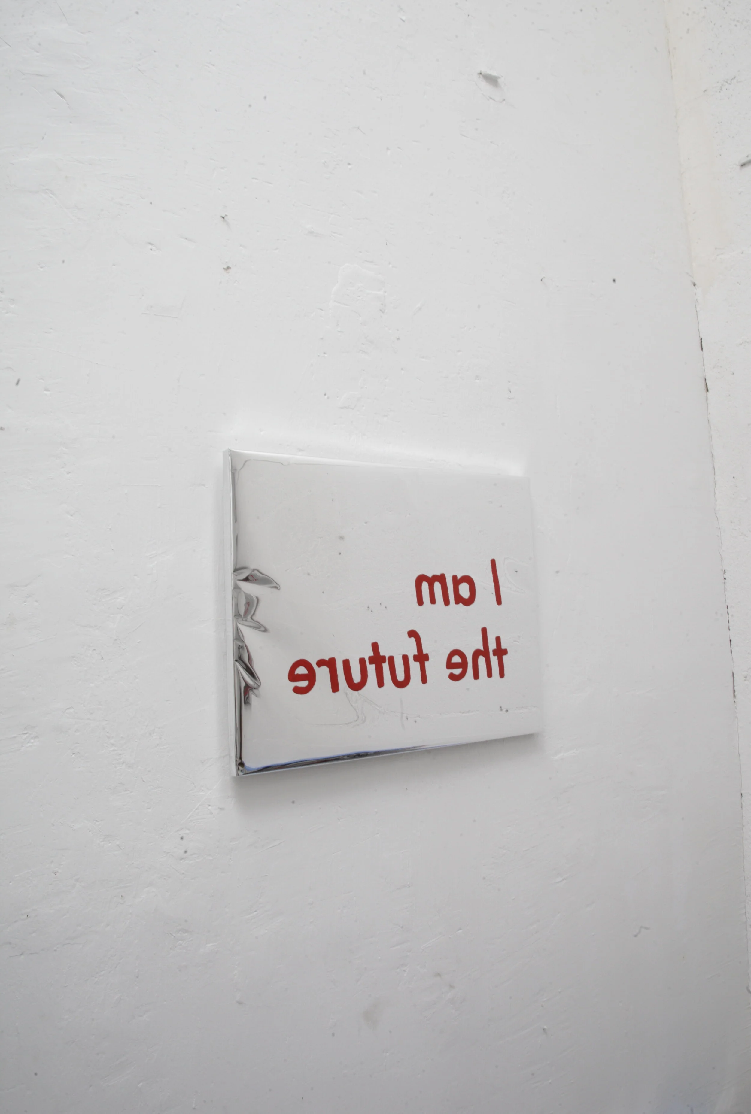  Clémence Vazard (born 1985, France) is a transdisciplinary artist who lives and works between Paris, Arles and Mexico City.   As an artist-researcher , Clemence Vazard gives a voice to women to rebalance our society.  The artist has developed a noma