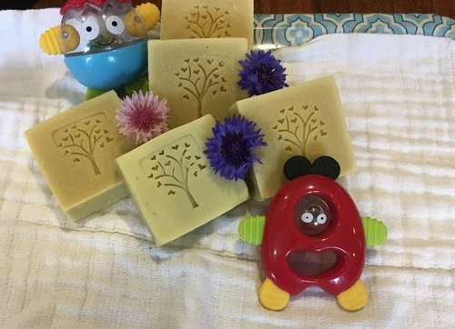 Gregory's+Baby+Soap.jpg