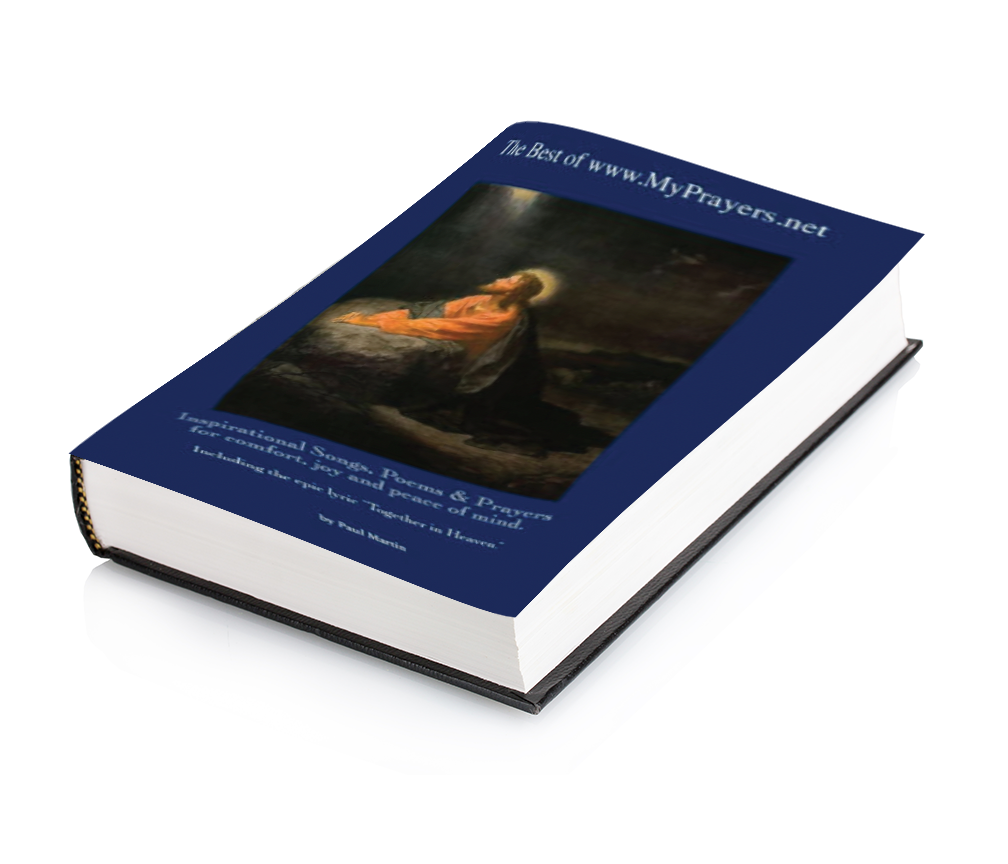book cover-v1.png