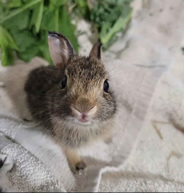Really, Human? THAT'S What You're Wearing?
