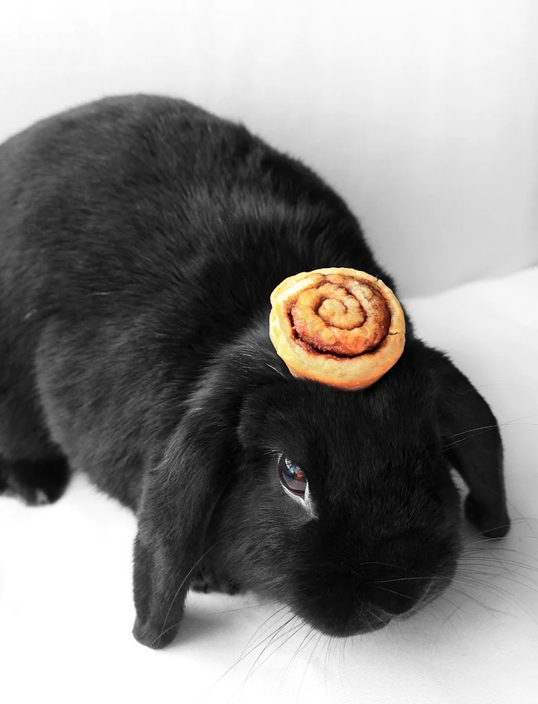 2009, 10-10 Daily Bunny