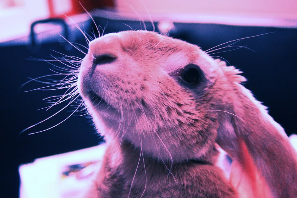 Is That a Treat You Have?