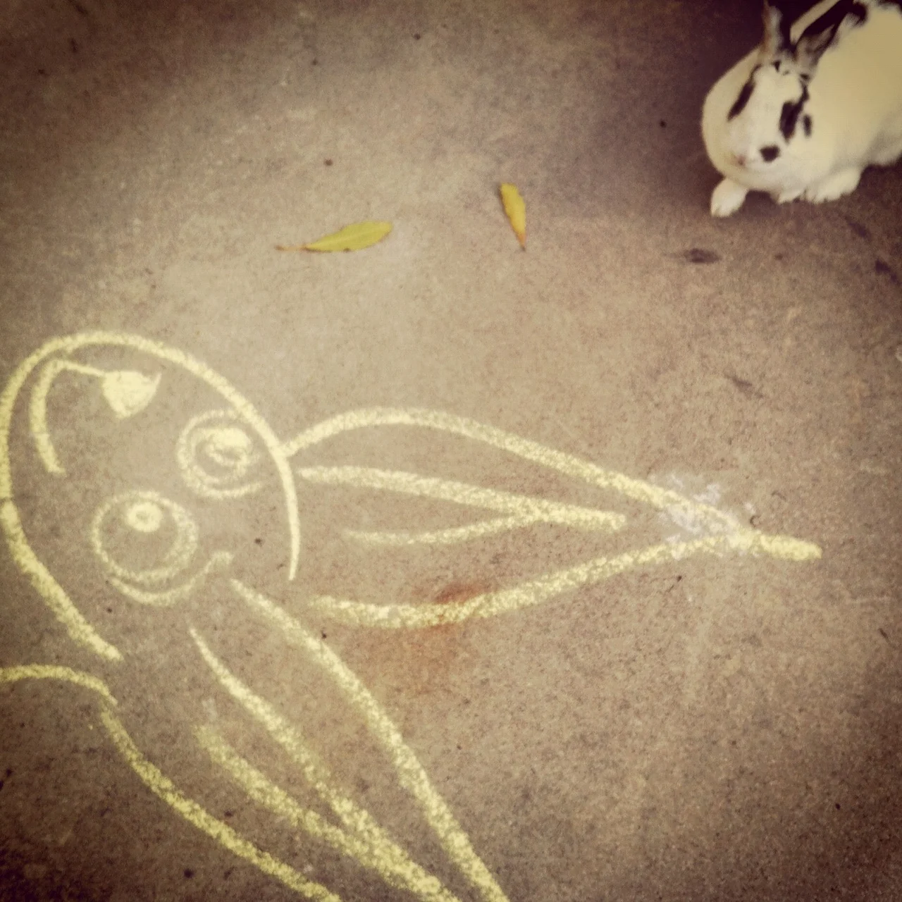 Hmm… I Think I’m Prettier in Real Life.