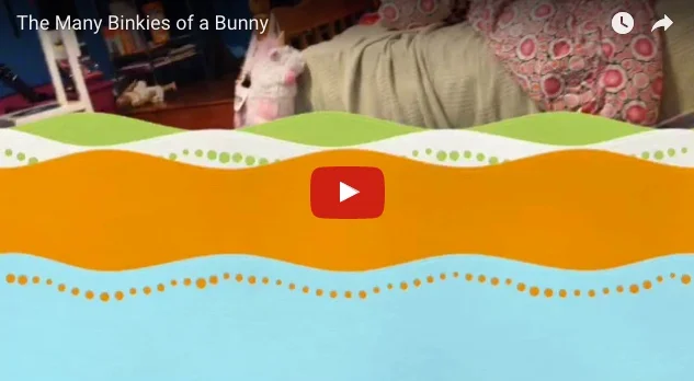 The Many Binkies of a Bunny