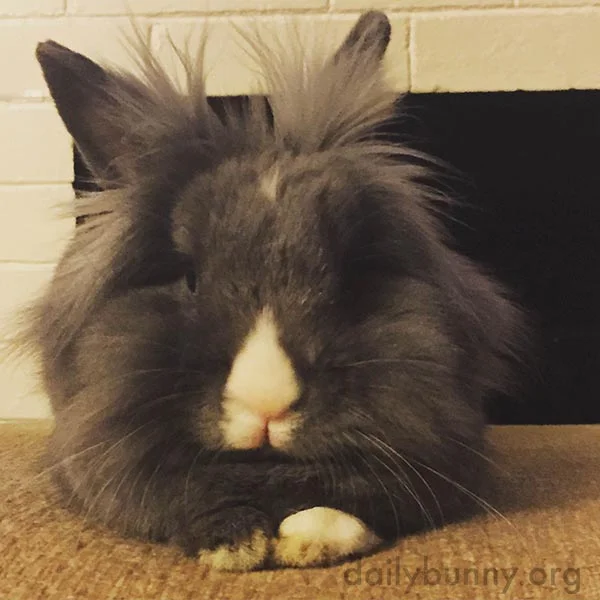 I See... And How Does That Make You Feel?