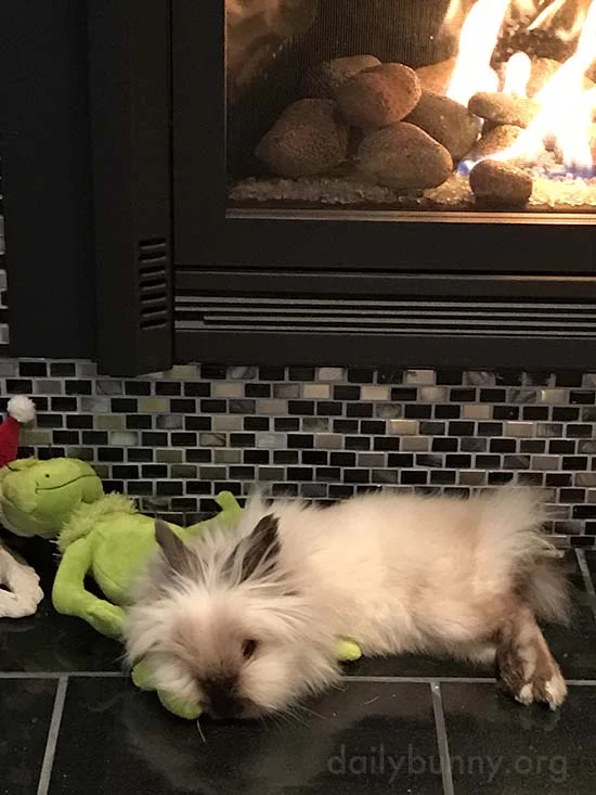 Even the Grinch Can Make a Bunny Friend