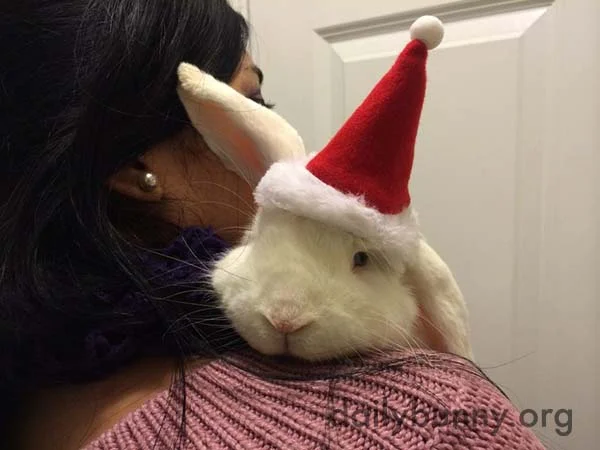 It's the Daily Bunny's Christmas 2017 Mega-Post! 4