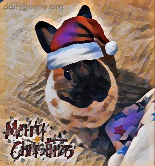 It's the Daily Bunny's Christmas 2017 Mega-Post! 9