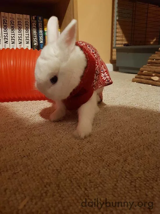 More Christmas Bunnies! 2