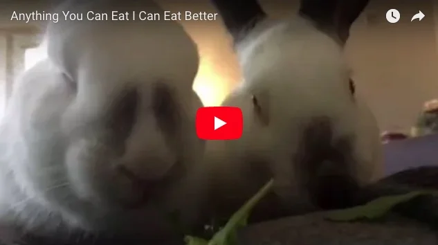 Anything You Can Eat I Can Eat Better