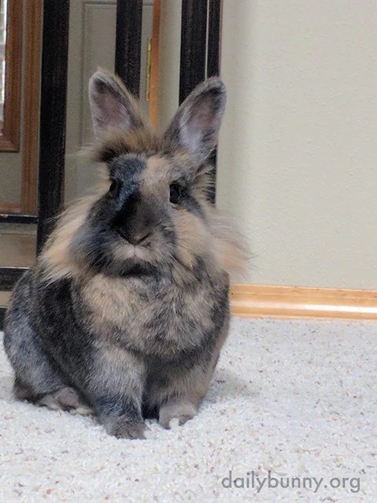 Don't Look So Suspicious, Human, I've Been Nothing But an Angel!