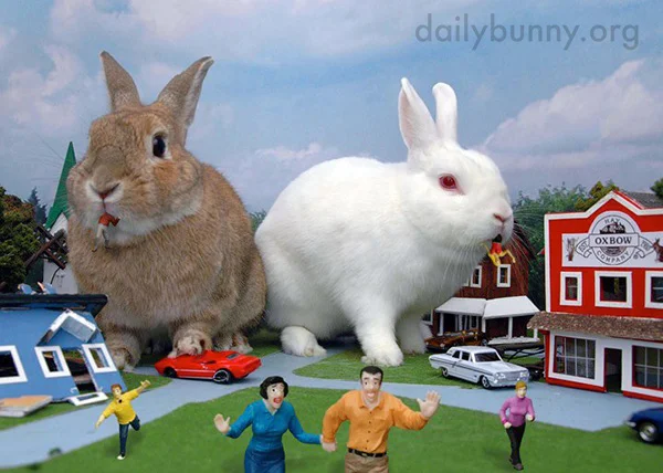 Bunzillas!