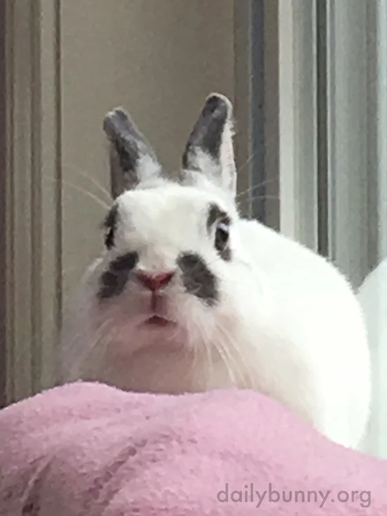 You're Wearing THAT?!