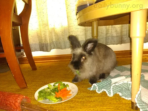 Bunny Tops Off a Spa Day with a Veggie Platter