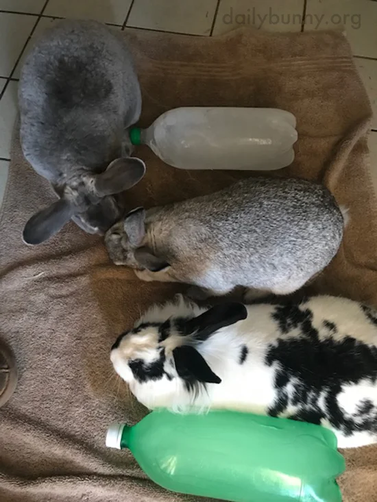 Is There Room for One More?