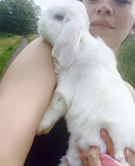 Bunny Steps Out for Some Fresh Air with His Human