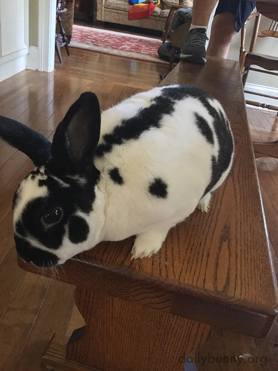 Hop Down in Three... Two...