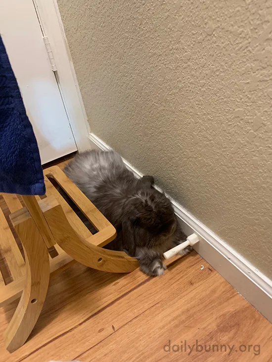 Bunny Has Found a Tiny Place to Squeeze Into for Some Quiet Time