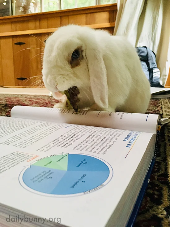 So Whatcha Studying This Semester, Human? 2