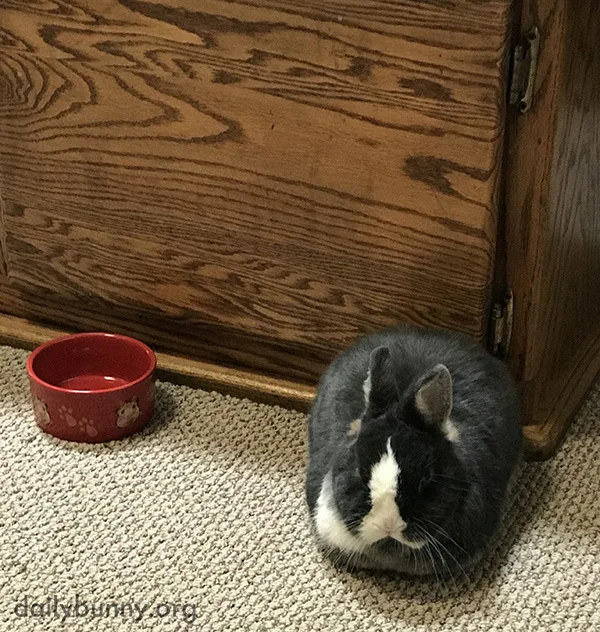 What's Wrong With This Picture, Human? I'll Wait.