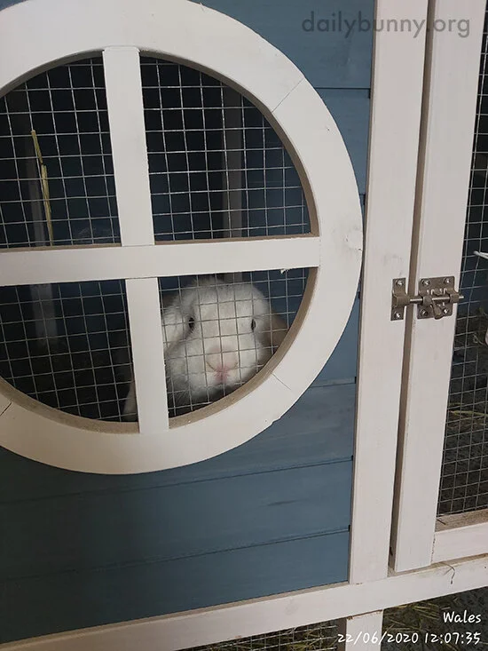 Who's Knocking? And Did You Bring Snacks? 1