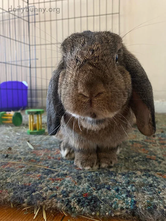 Lean In Just a Liiittle Mooore... And Boop!