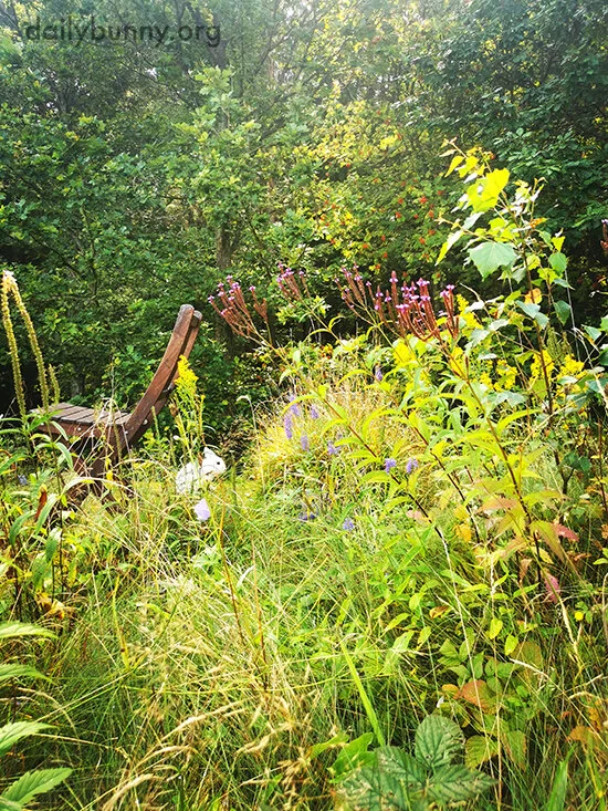When Bunny's Done Exploring All There Is to Explore, He Runs Back to His Human