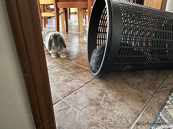 You've Tipped It Over! What's Inside, Anything We Can Eat?