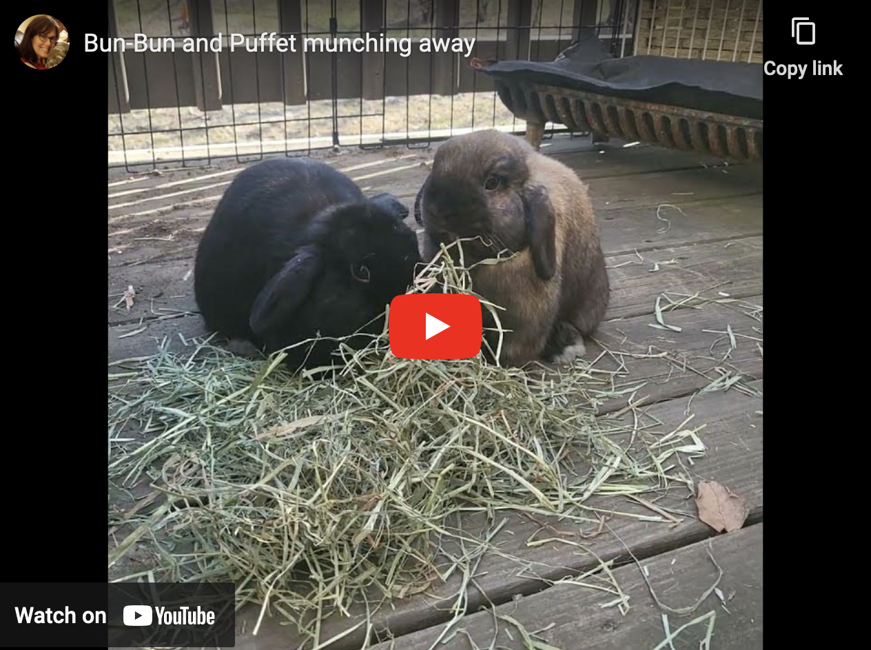 Springtime Means Al Fresco Dining