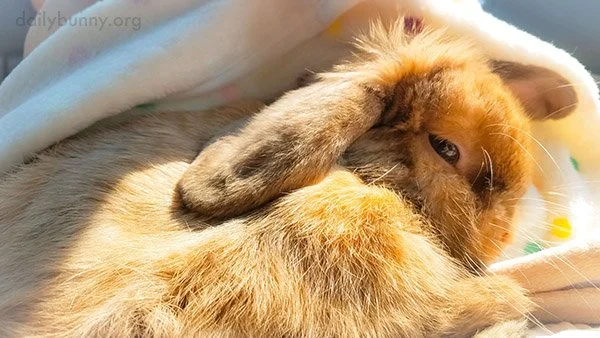 Can You Turn Off the Sun? I Need a Nap.