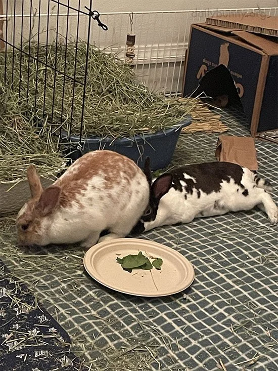 Guess Who's in Charge Here