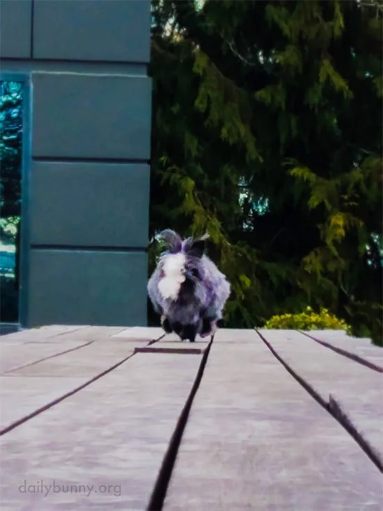 Somewhere... Miles Away... a Banana Was Just Peeled