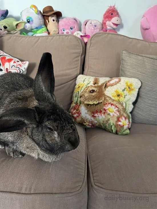 Ever Get the Feeling Someone's Watching You?