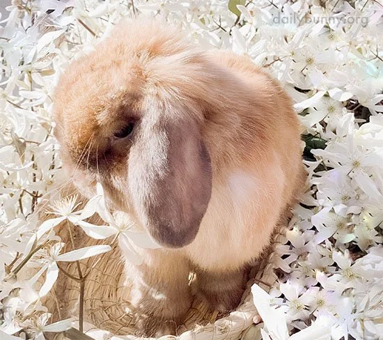 Happy Spring Equinox!