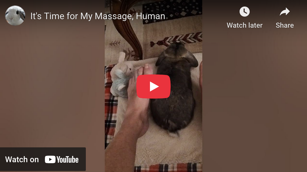 It's Time for My Massage, Human
