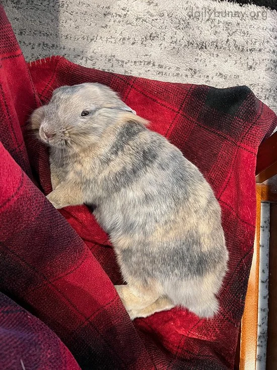 Monday Morning Already, Is It? I'm Sorry, Human.