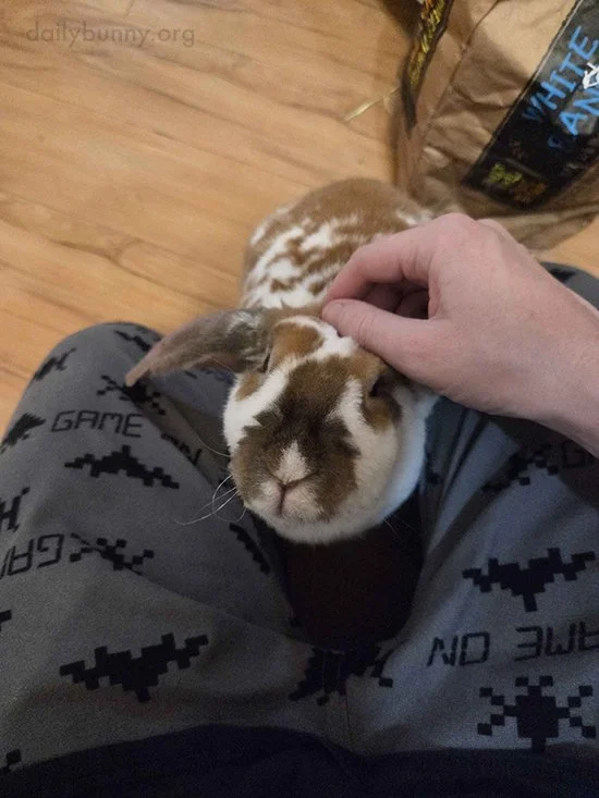 I Would Like Some Attention, Please